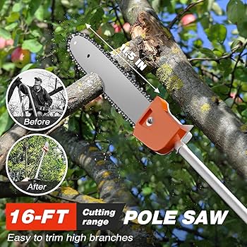 Amazon.com : Baotree 52cc 6-in-1 Gas Powered Weed Eater with